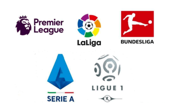 仅增强了安 仅增强了安