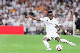 仅显示了他 仅显示了他